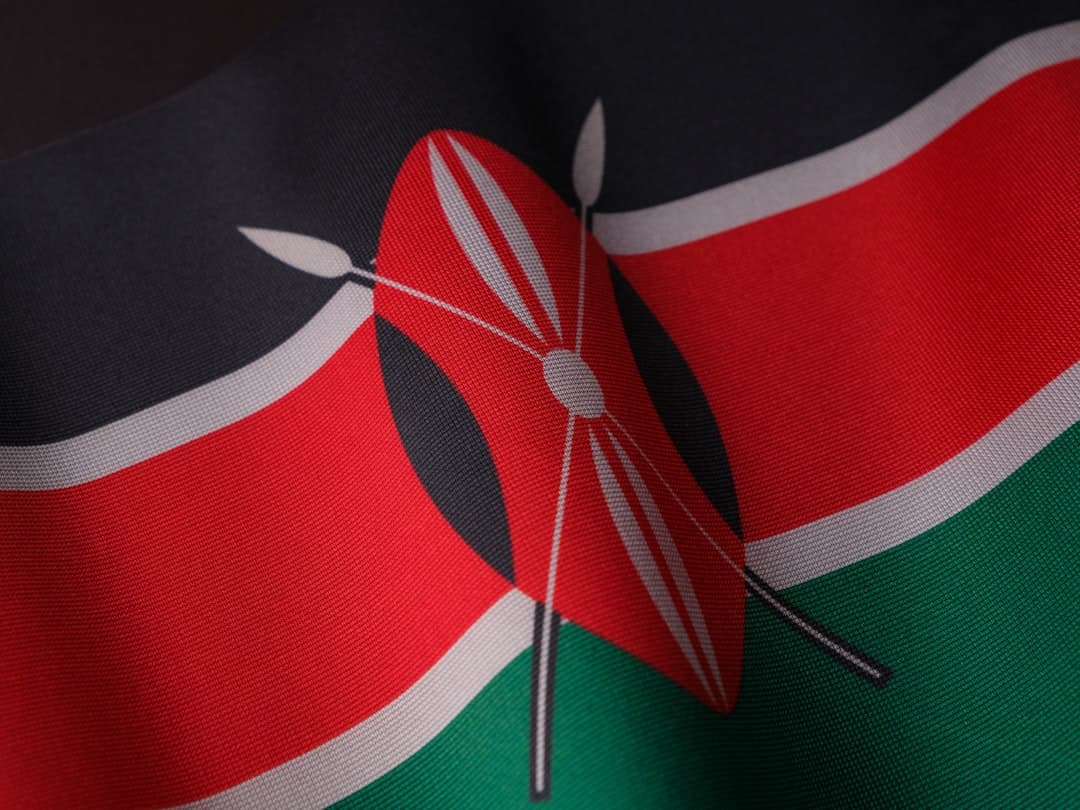 Kenyan Politics — engin akyurt via Unsplash
